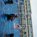 DSCF0027 (2)